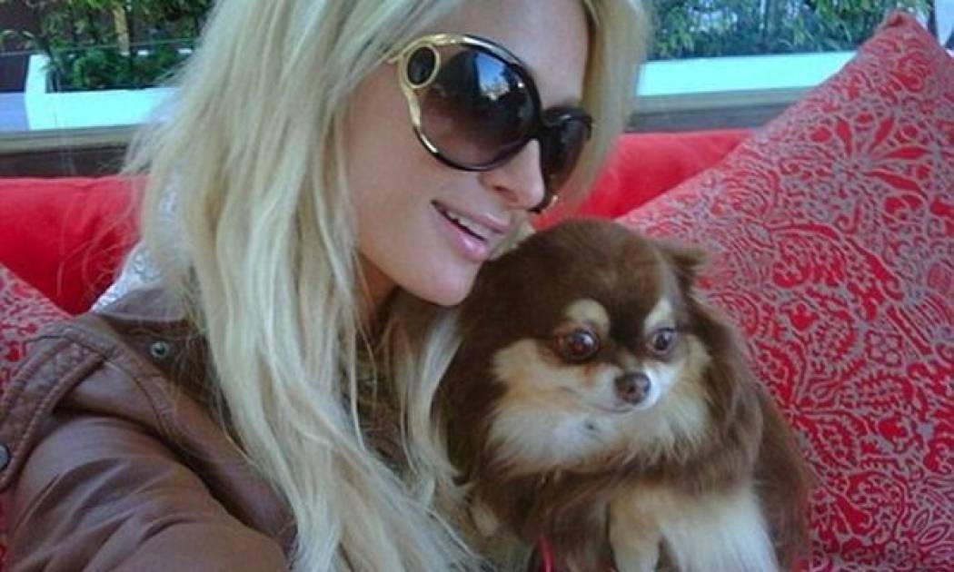 Η φάρμα των ζώων, της Paris Hilton