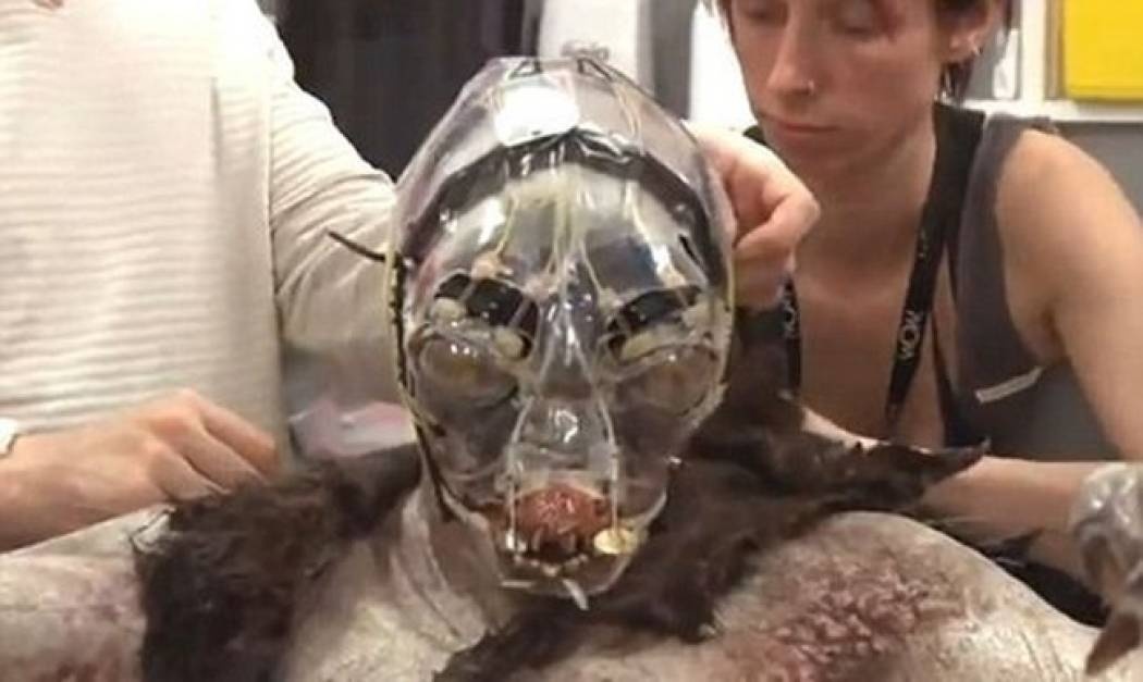 Video: Στα γυρίσματα του Hobbit