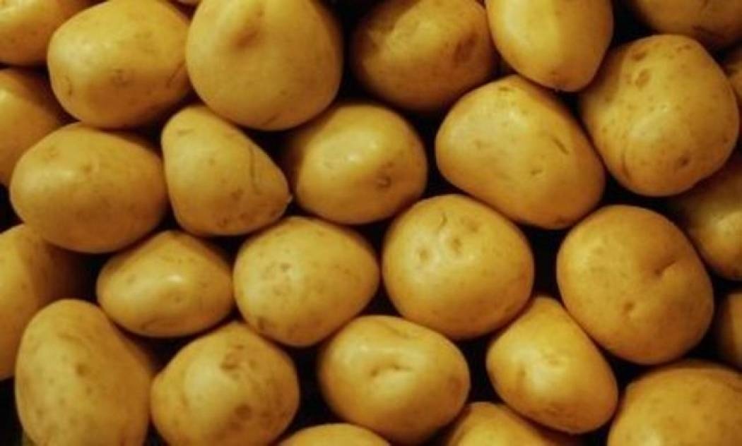 Πως να καλλιεργήσετε πατάτες στο μπαλκόνι σας