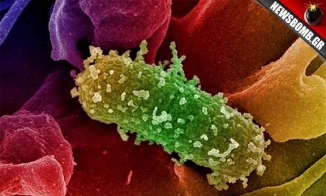 Αυξημένη προσοχή για το Ε coli συστήνει το ΚΕΕΛΠΝΟ