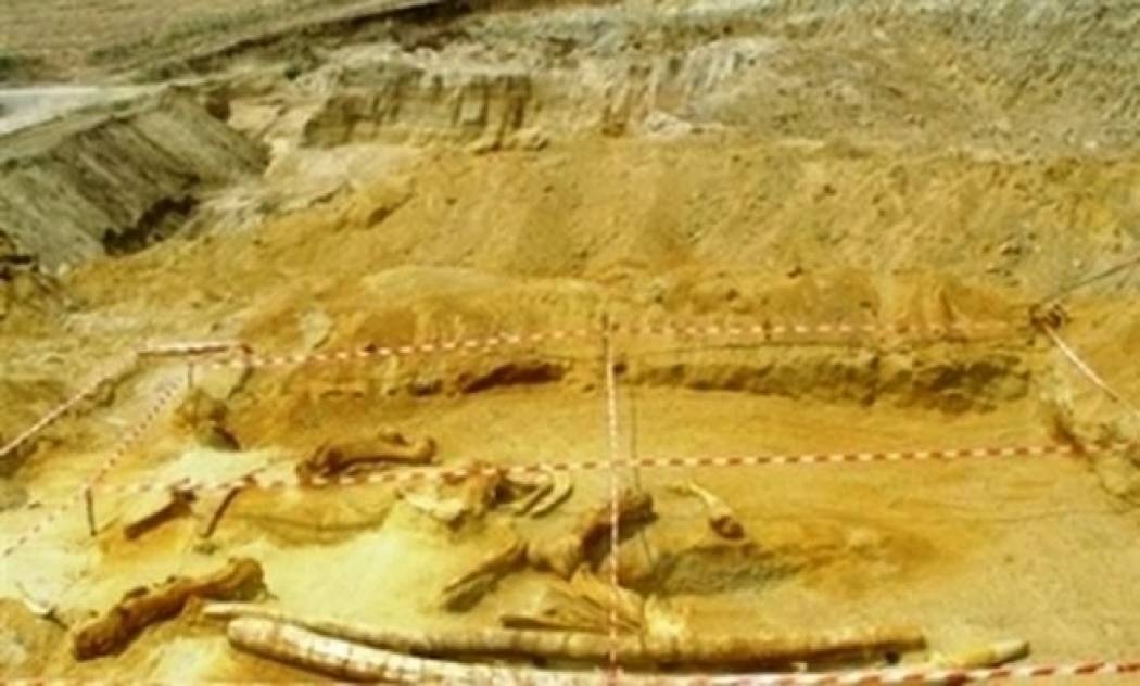 Προϊστορικός ελέφαντας στη Μεγαλόνησο