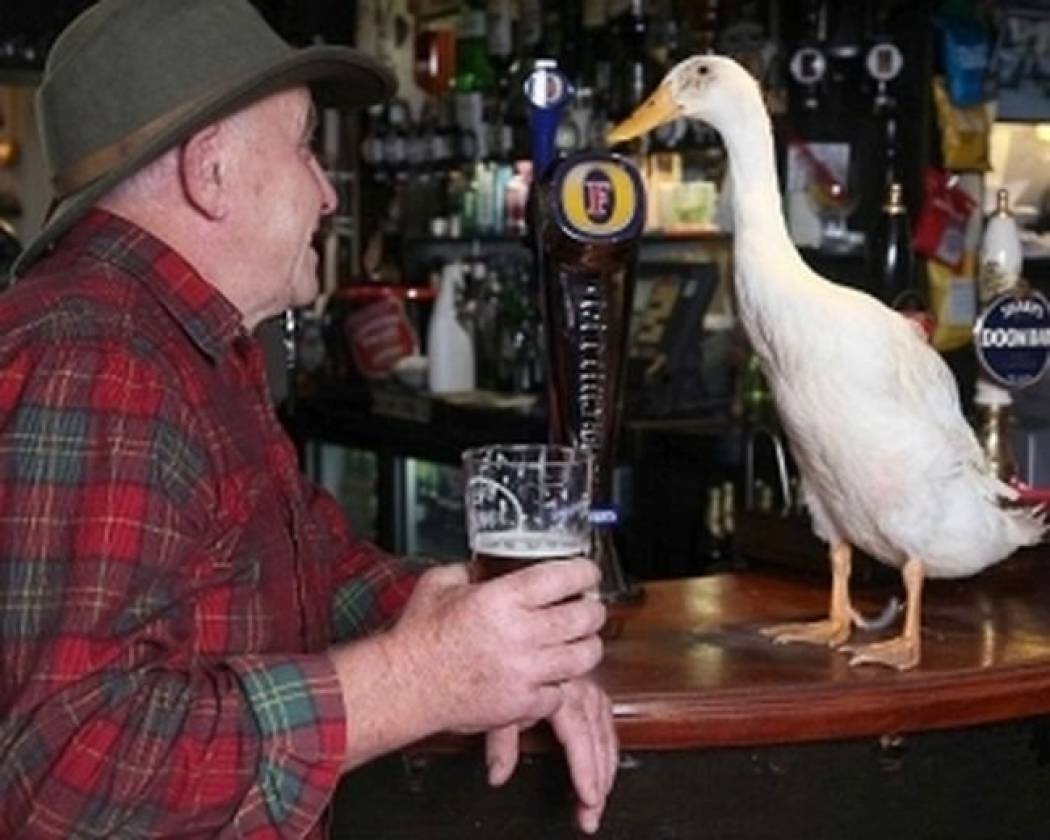 Έκανε μια πάπια… κατοικίδιό του! (pics)