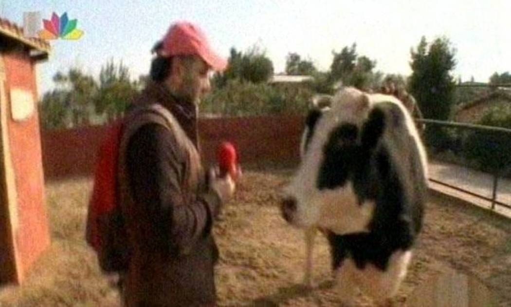 Ο Γρηγόρης ξανασυνάντησε την Κλάρα!