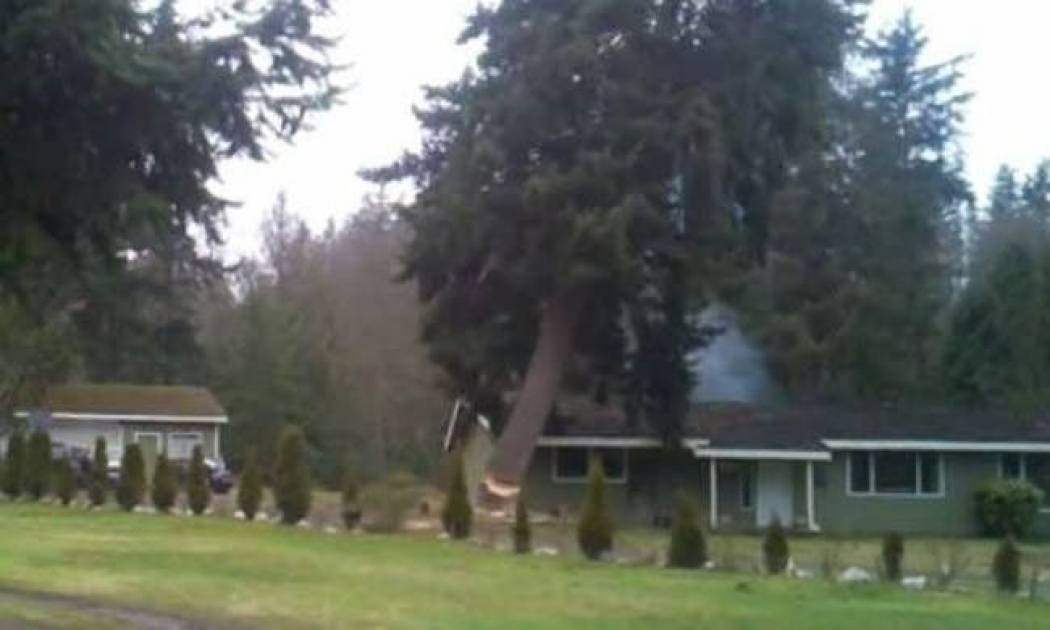 Το δέντρο πλάκωσε το σπίτι