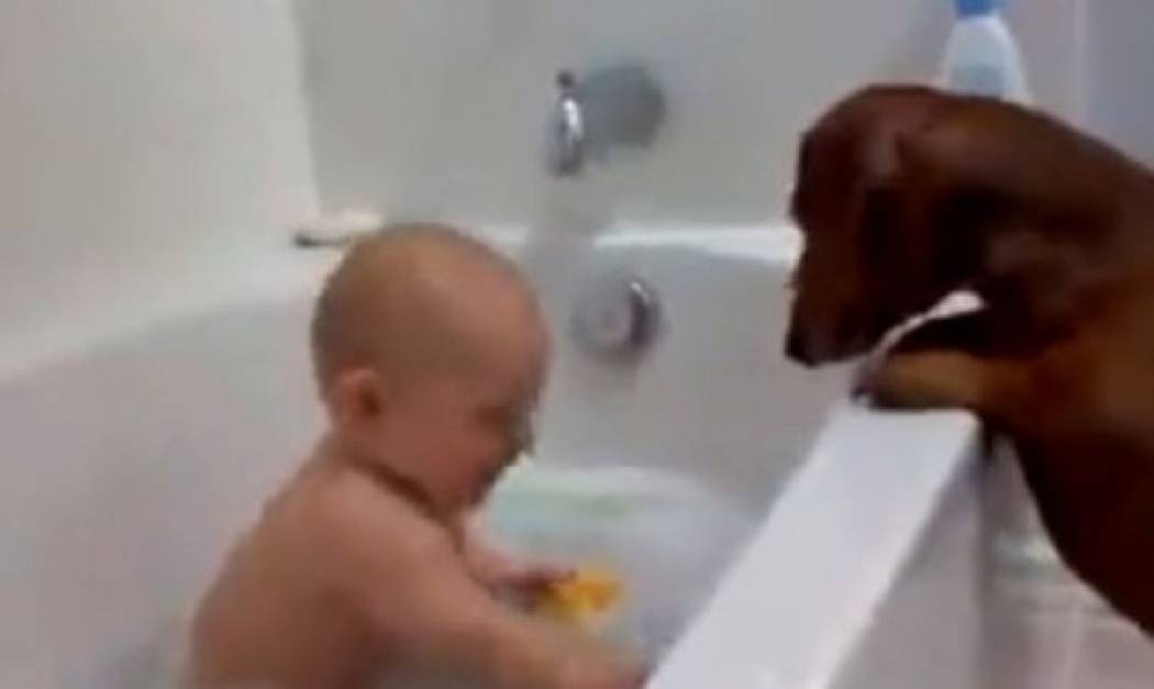 Βίντεο: Όταν το μωρό παίζει με τον σκύλο στην μπανιέρα!