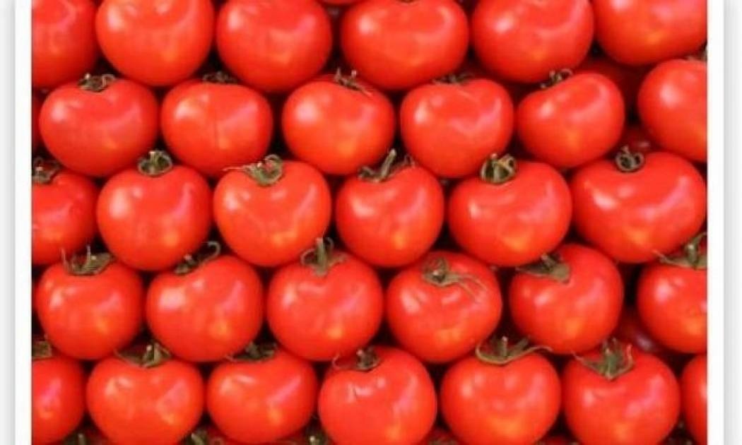 Ντομάτες - Φρανκεσταϊν εναντίον καρδιαγγειακών