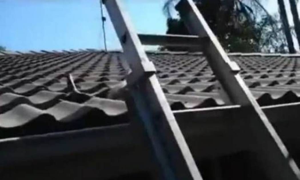 Βίντεο: Απίστευτο τι βγήκε από τη στέγη!