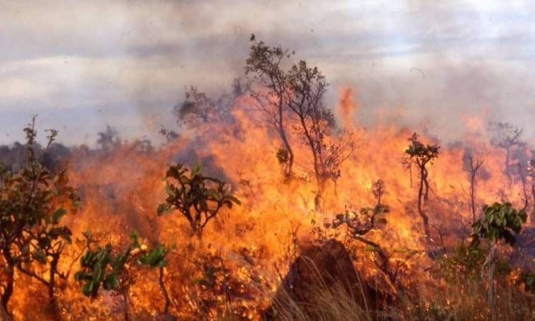 Πυρκαγιά στην περιοχή Ρουπακιά Αχαΐας