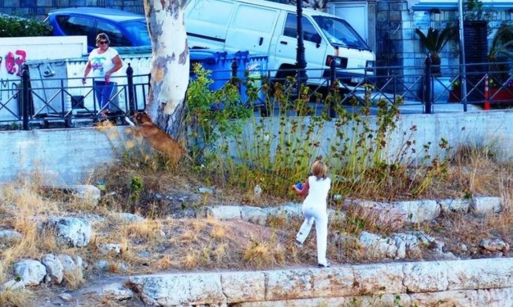 Σία Κοσιώνη: Πρωινός σκυλοκαβγάς