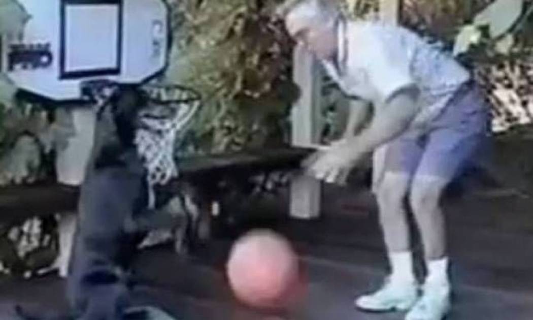 Σκύλος... έτοιμος για το NBA! (βίντεο)