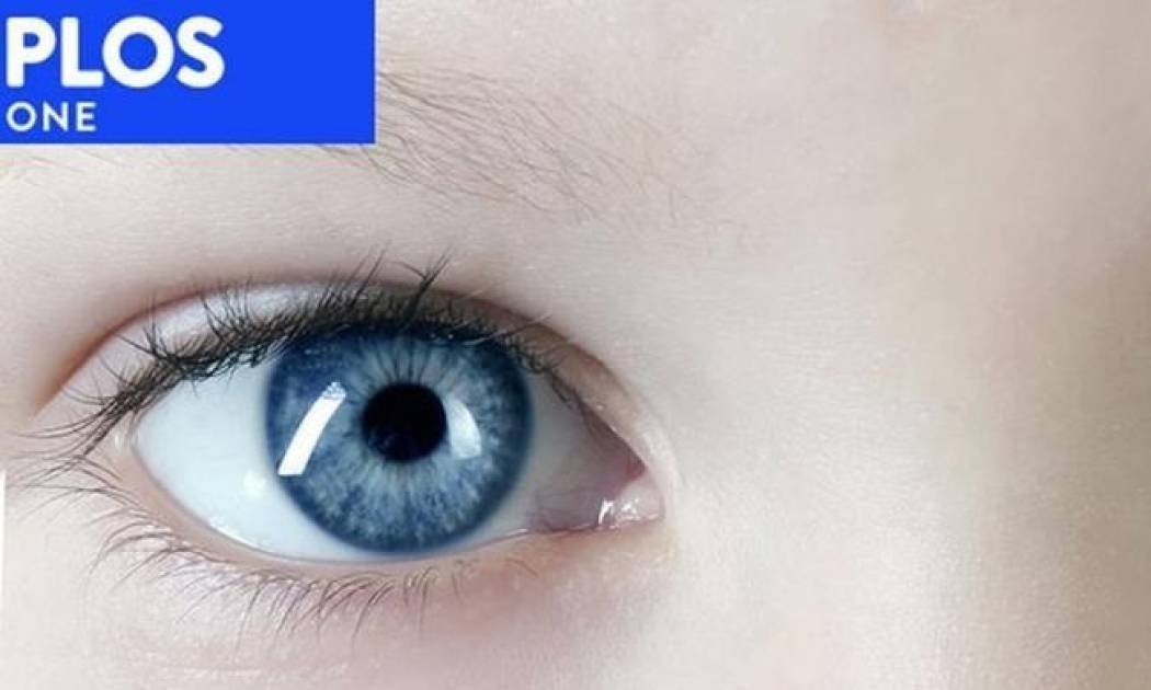 Αναγνωρίζουν τους παιδόφιλους από τα... μάτια των θυμάτων τους