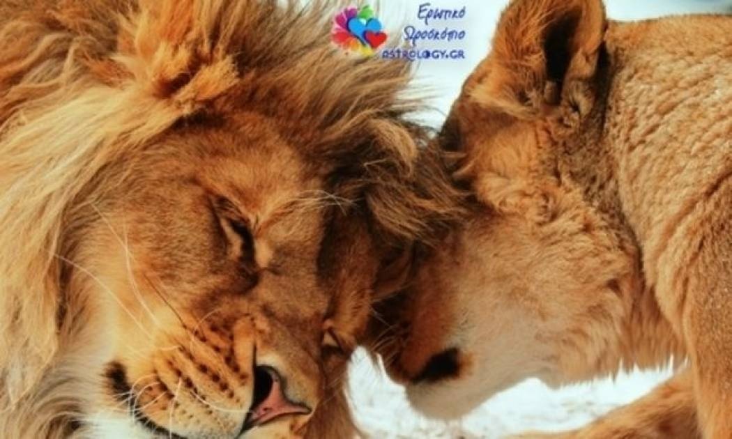 Ερωτικό ωροσκόπιο 12/1
