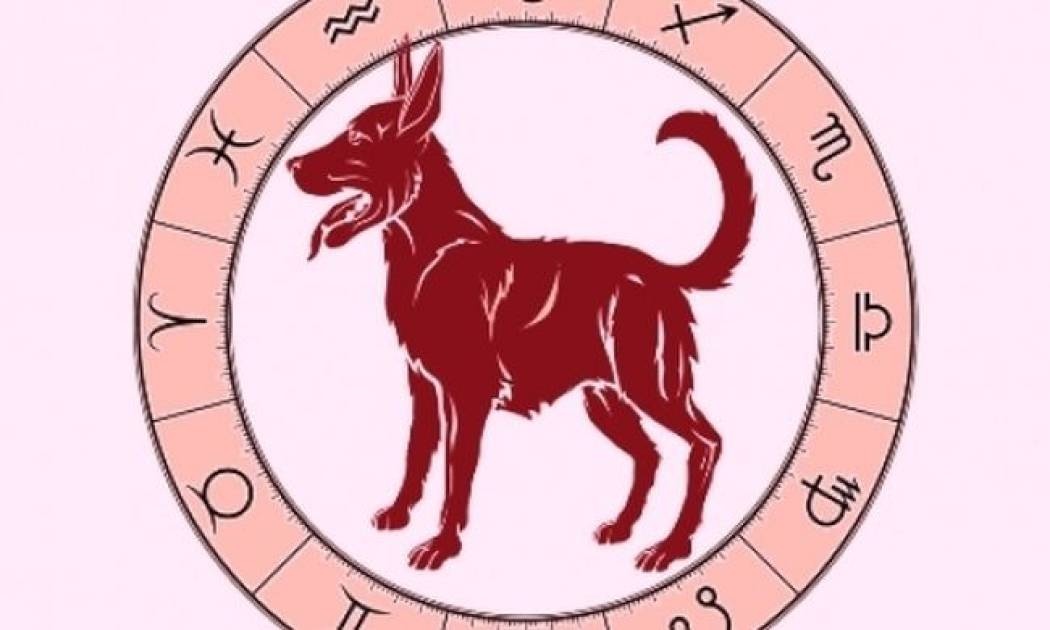 Κινέζικη αστρολογία: Ο Σκύλος και τα 12 ζώδια της Δυτικής αστρολογίας