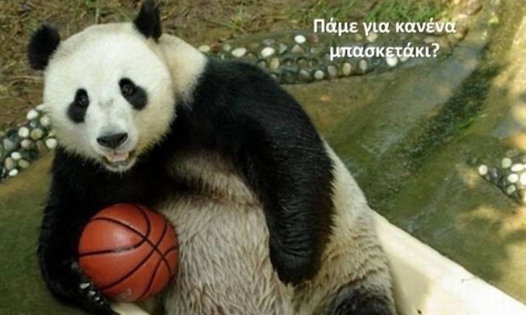 Ο Καρκίνος κάνει σπορ!