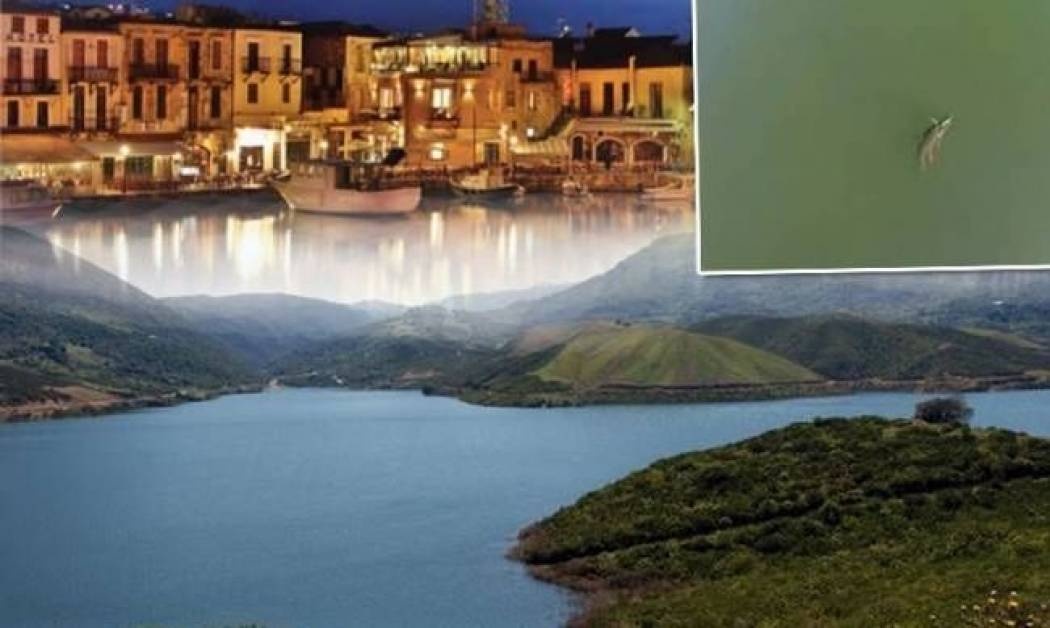 Πόλος έλξης η λίμνη του κροκόδειλου!