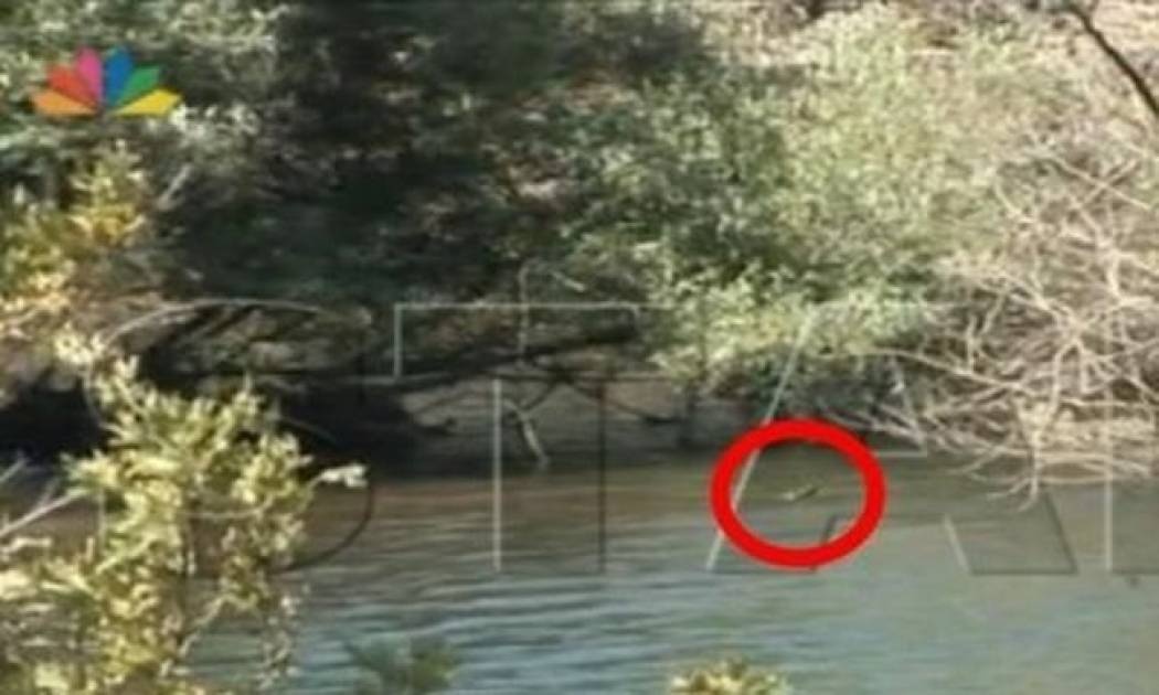 Η Τσαπανίδου έβγαλε σε ζωντανή σύνδεση τον… κροκόδειλο της Κρήτης