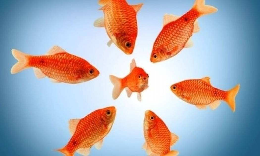 Αστρολογικό δελτίο για όλα τα ζώδια, από 16 έως 18 Ιουλίου