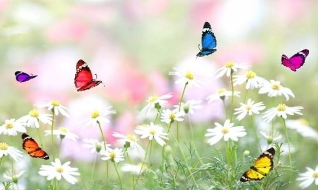 Οι τυχερές και όμορφες στιγμές της ημέρας: Σάββατο 6/9