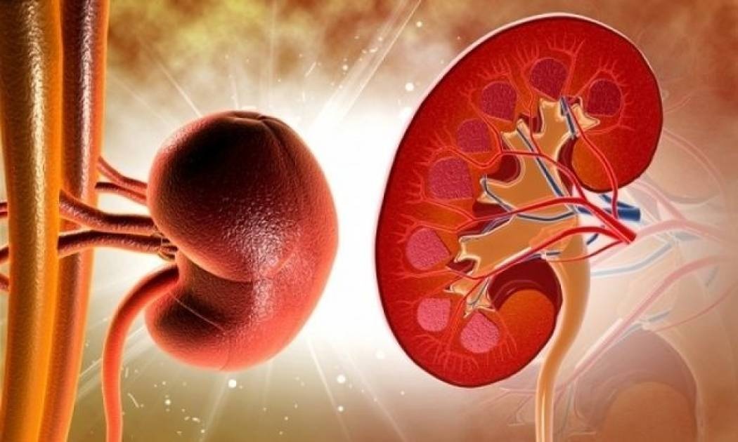 Πότε επιβάλλεται να κάνετε εξετάσεις στα νεφρά σας