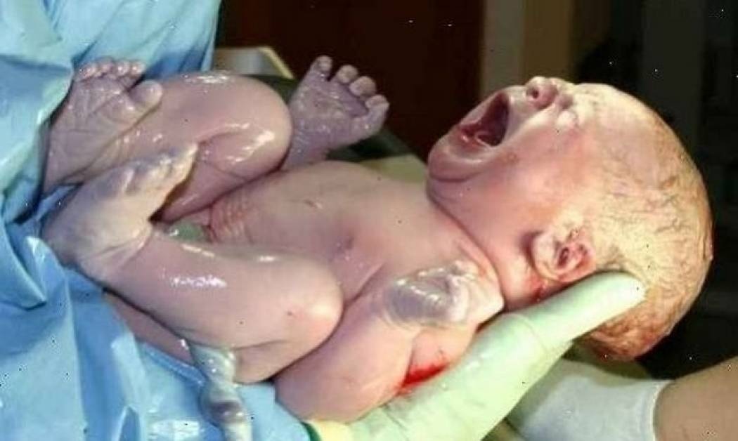 Το μεγαλείο της ζωής από τη σύλληψη έως τη γέννηση! (βίντεο)