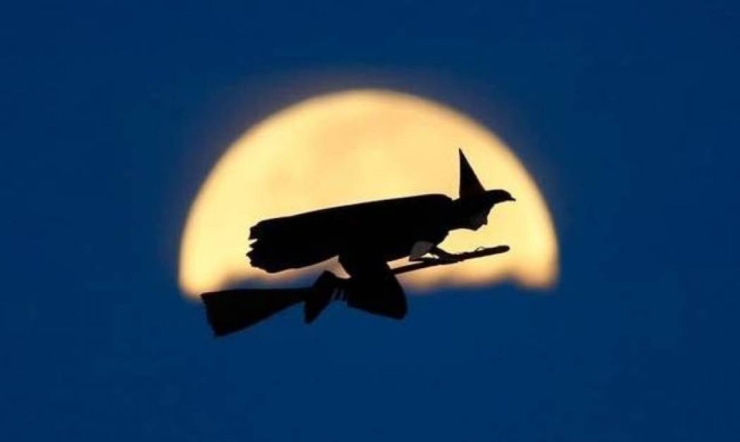 Μάγισσα πάνω σε... σκούπα (video)