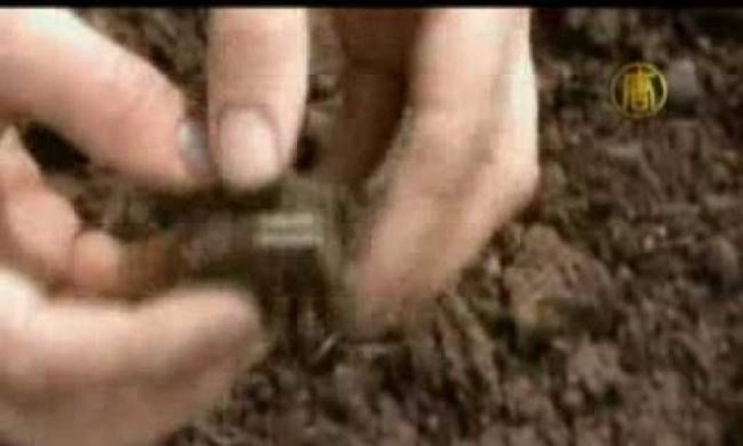 Ανακαλύφθηκε ο μεγαλύτερος θησαυρός των Βίκινγκ (pics)