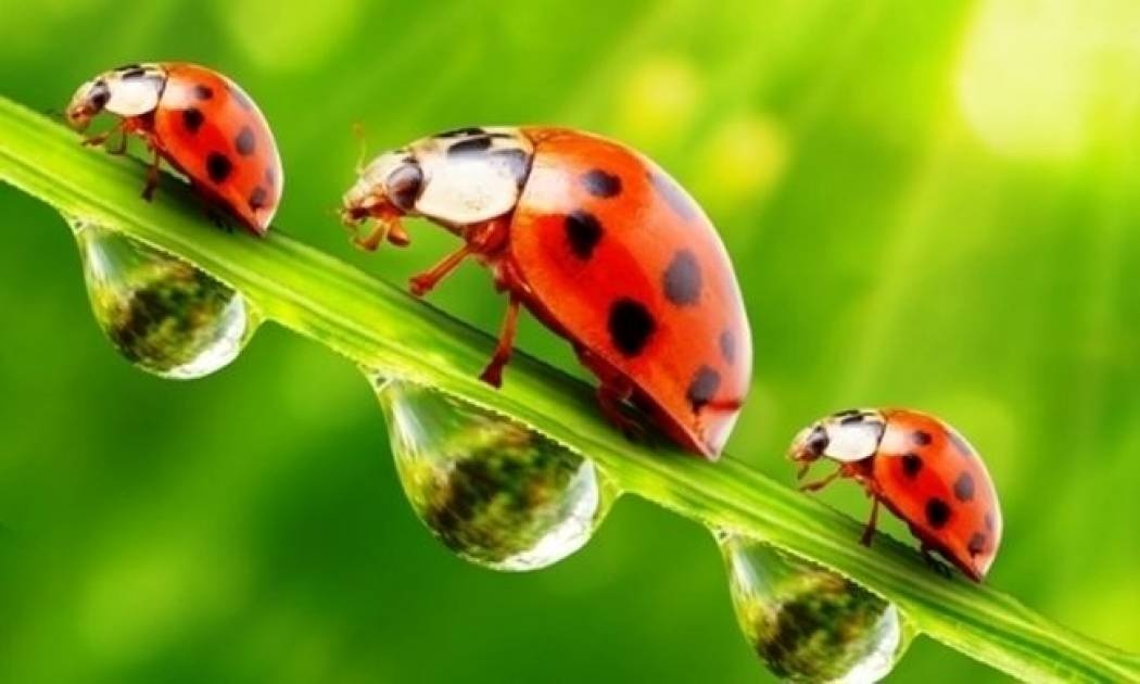 Οι τυχερές και όμορφες στιγμές της ημέρας: Πέμπτη 30 Οκτωβρίου