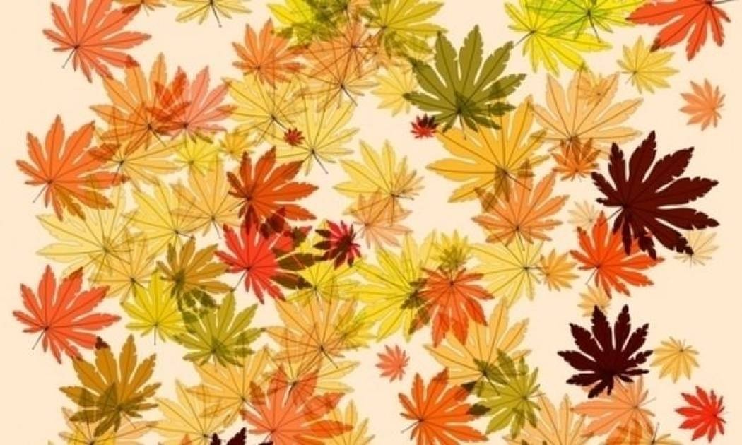 Οι τυχερές και όμορφες στιγμές της ημέρας: Σάββατο 1η Νοεμβρίου