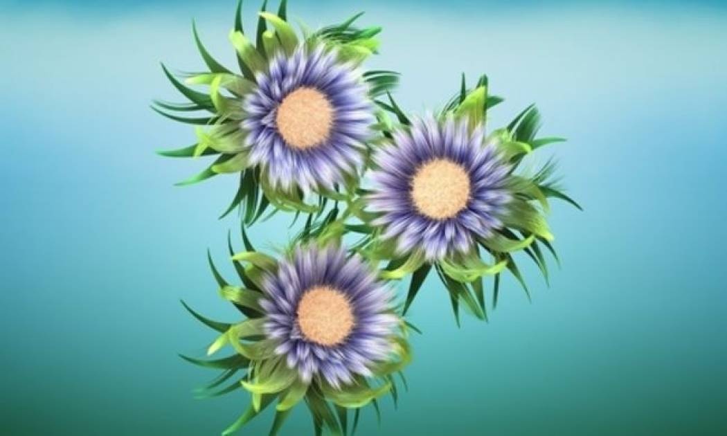 Οι τυχερές και όμορφες στιγμές της ημέρας: Κυριακή 2 Νοεμβρίου