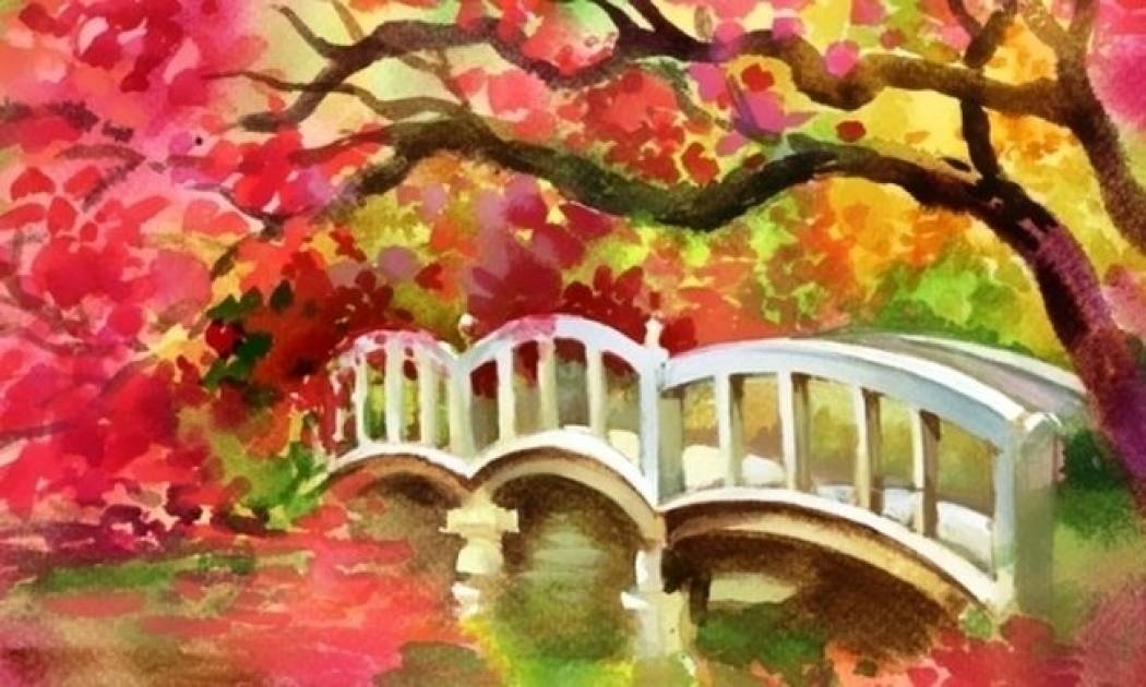 Οι τυχερές και όμορφες στιγμές της ημέρας: Τρίτη 4 Νοεμβρίου