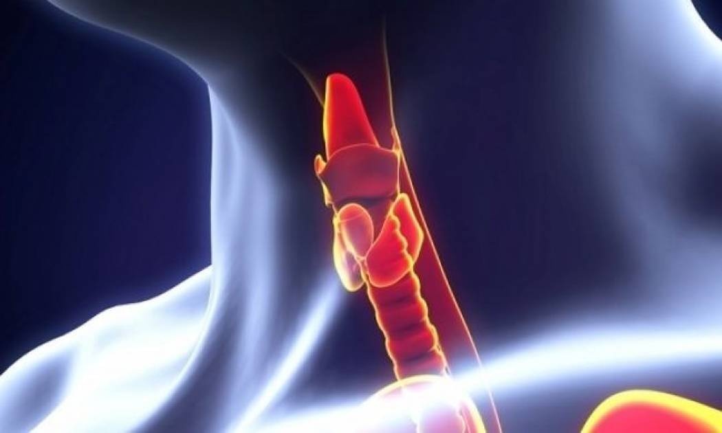 Πώς θα καταλάβετε ότι ο θυρεοειδής σας… τεμπελιάζει!