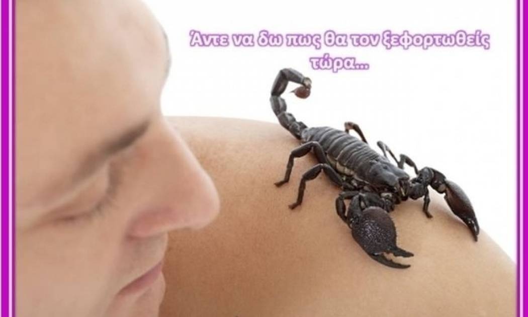5 λόγοι για τους οποίους… θα έπνιγα έναν Σκορπιό!