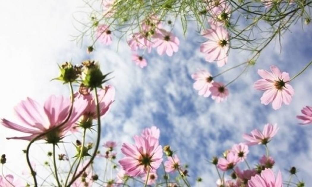 Οι τυχερές και όμορφες στιγμές της ημέρας: Παρασκευή 7 Νοεμβρίου