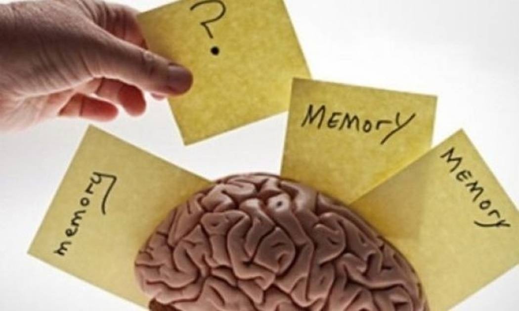 Ξεχνάτε διαρκώς; 4 tips για να αποκτήσετε μνήμη... «ελέφαντα».