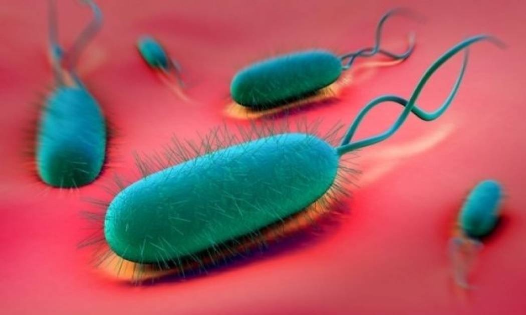 Πότε οι στομαχικές ενοχλήσεις είναι ελικοβακτηρίδιο του πυλωρού