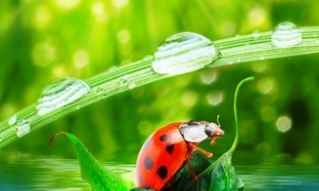 Οι τυχερές και όμορφες στιγμές της ημέρας: Τρίτη 18 Νοεμβρίου