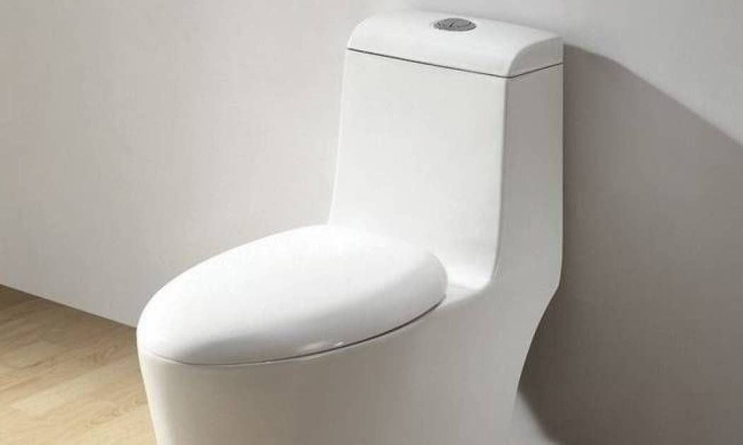 Η χειρότερη τουαλέτα όλων των εποχών, που σε... αγχώνει!