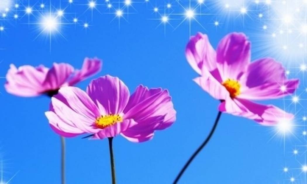 Οι τυχερές και όμορφες στιγμές της ημέρας: Τρίτη 25 Νοεμβρίου