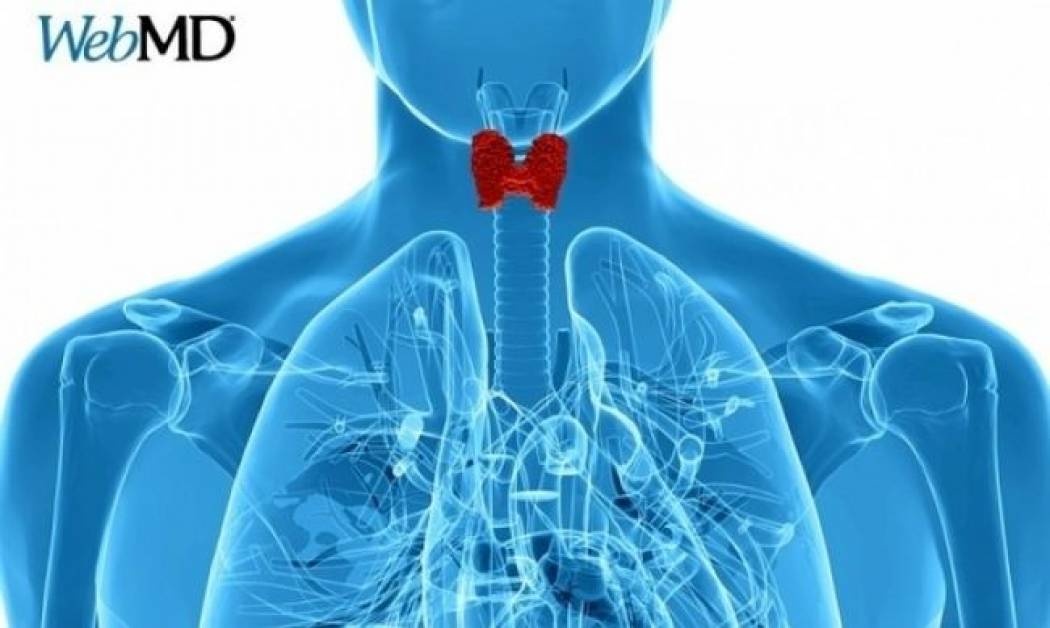 Πώς θα καταλάβετε ότι έχει πρόβλημα ο θυρεοειδής σας