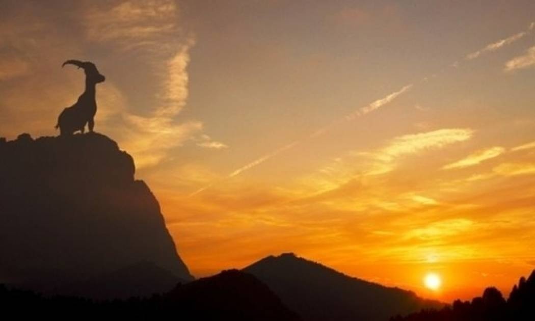 10 πράγματα που δηλώνουν ότι είσαι γνήσιος Αιγόκερως