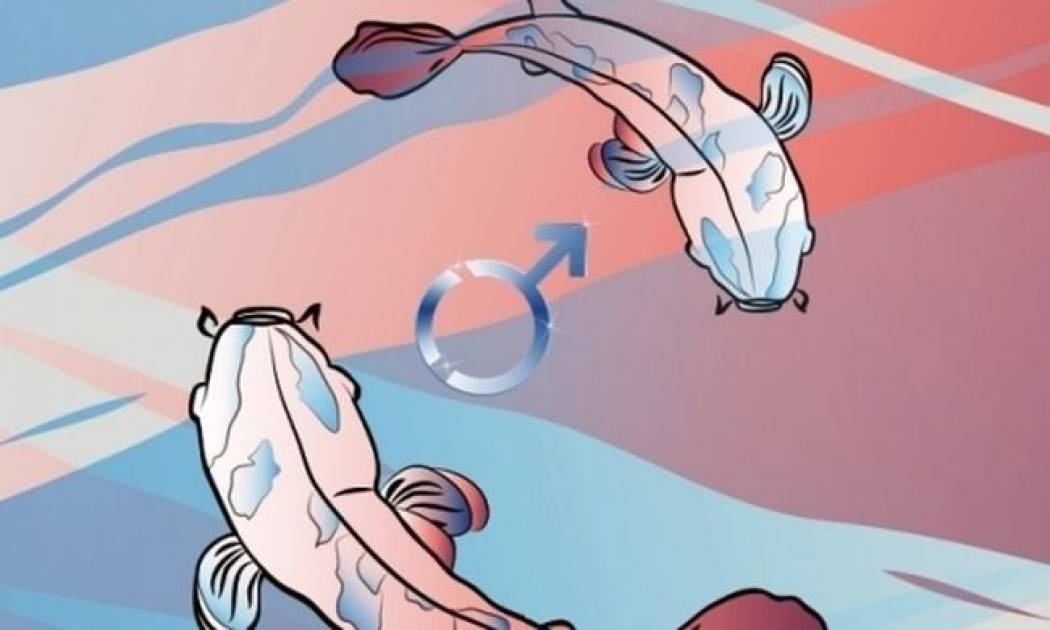 O τρυφερός Άρης στους Ιχθύες και πως θα επηρεάσει το κάθε ζώδιο