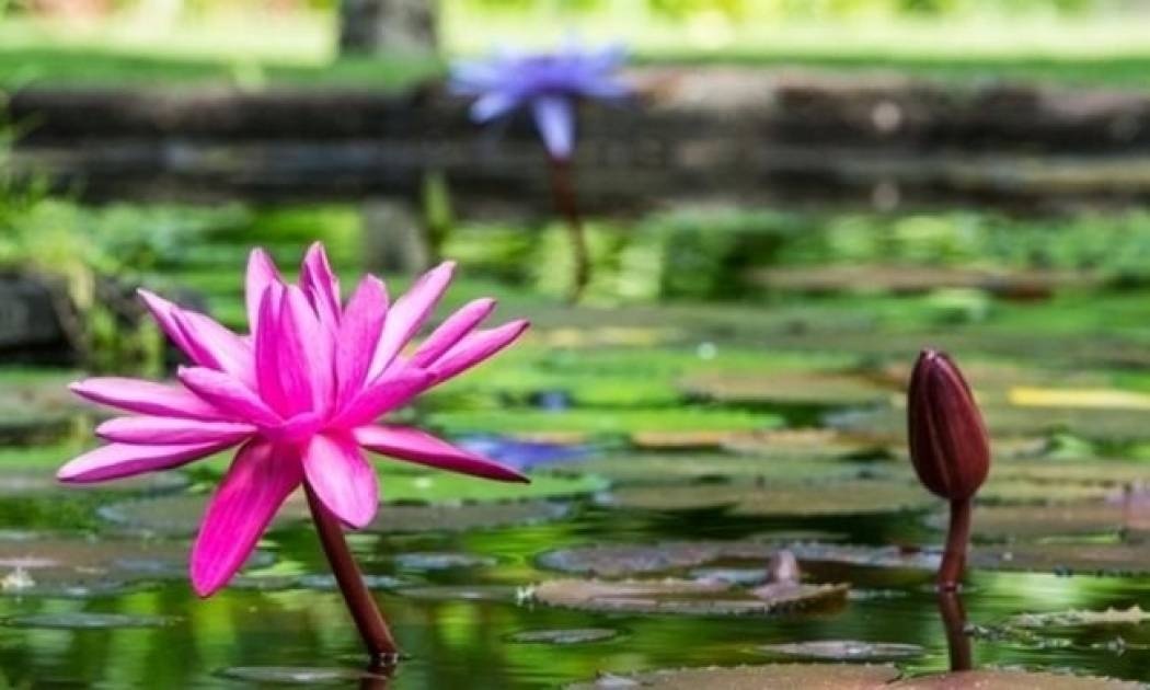 Οι τυχερές και όμορφες στιγμές της ημέρας: Δευτέρα 12 Ιανουαρίου