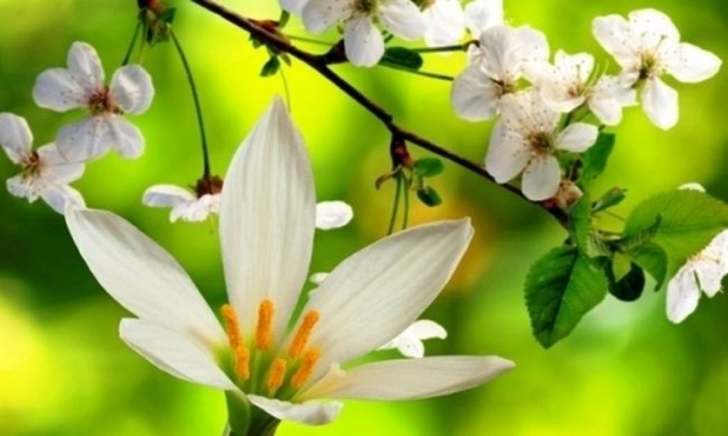 Οι τυχερές και όμορφες στιγμές της ημέρας: Πέμπτη 29 Ιανουαρίου