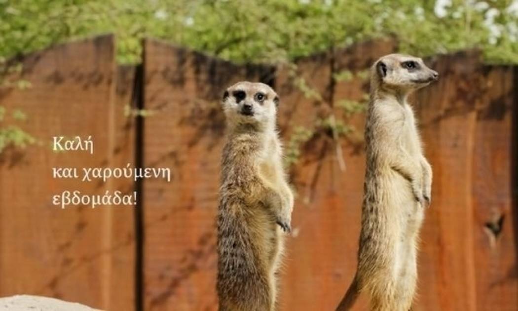 Τι λένε τα άστρα σήμερα, 9/2;