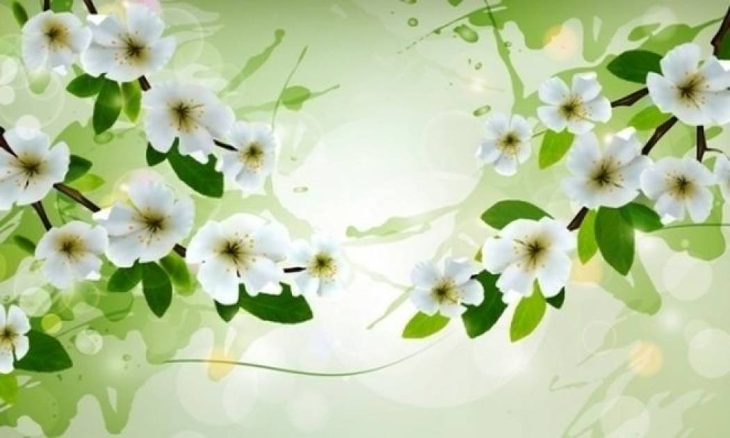 Οι τυχερές και όμορφες στιγμές της ημέρας: Τρίτη 3 Μαρτίου