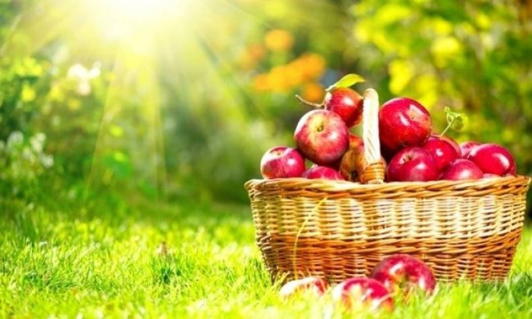 5 τροφές κατά της χοληστερίνης