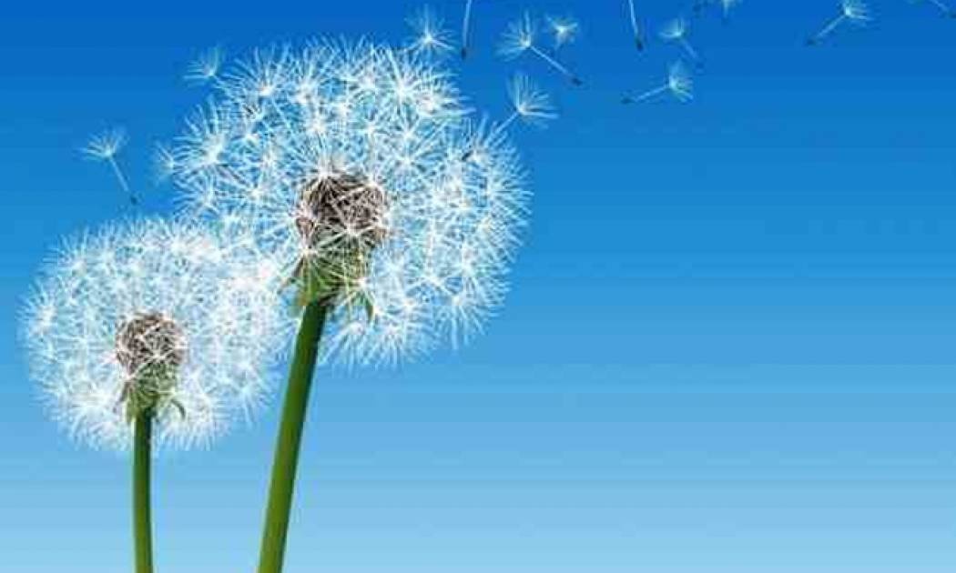 Οι τυχερές και όμορφες στιγμές της ημέρας: Σάββατο 25 Απριλίου