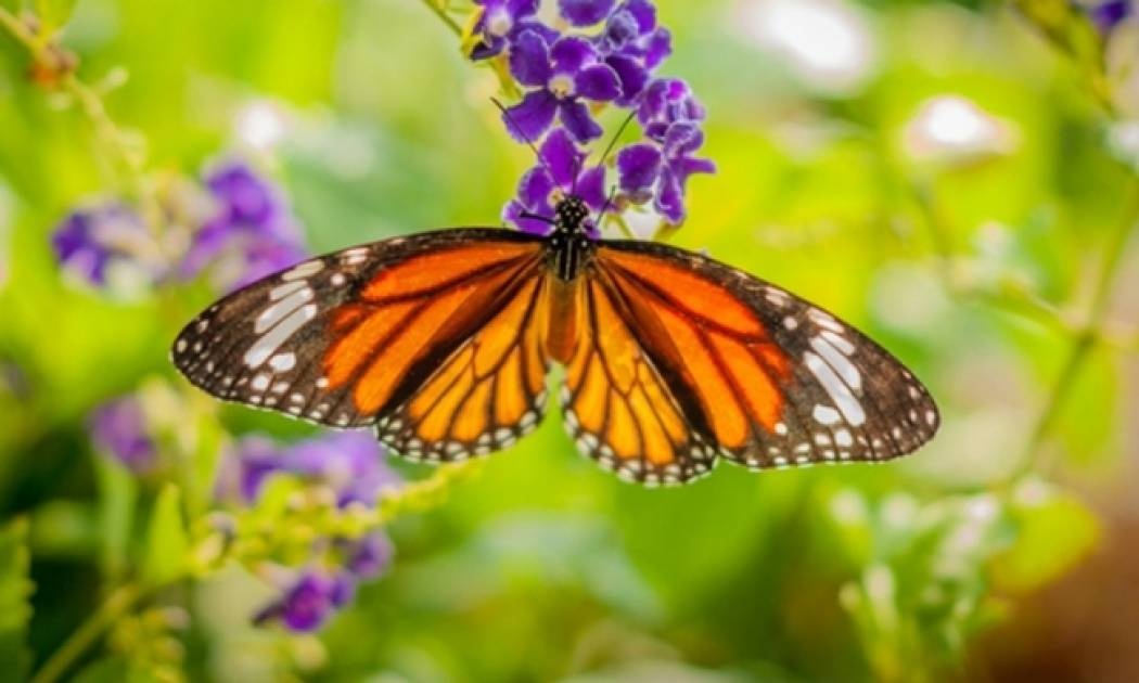 Οι τυχερές και όμορφες στιγμές της ημέρας: Δευτέρα 4 Μαΐου