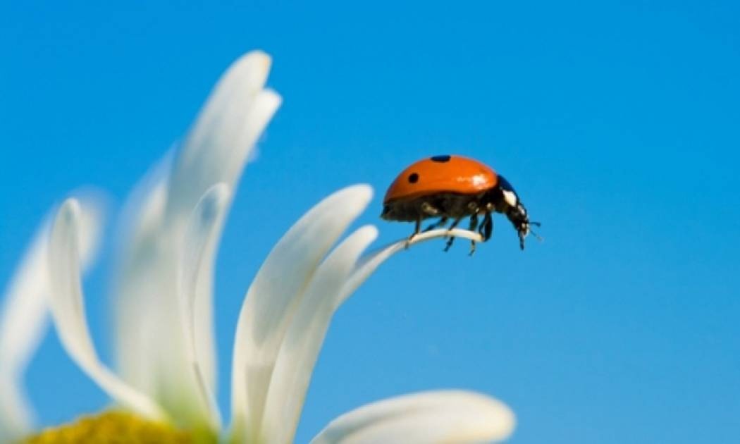 Οι τυχερές και όμορφες στιγμές της ημέρας: Τρίτη 5 Μαΐου