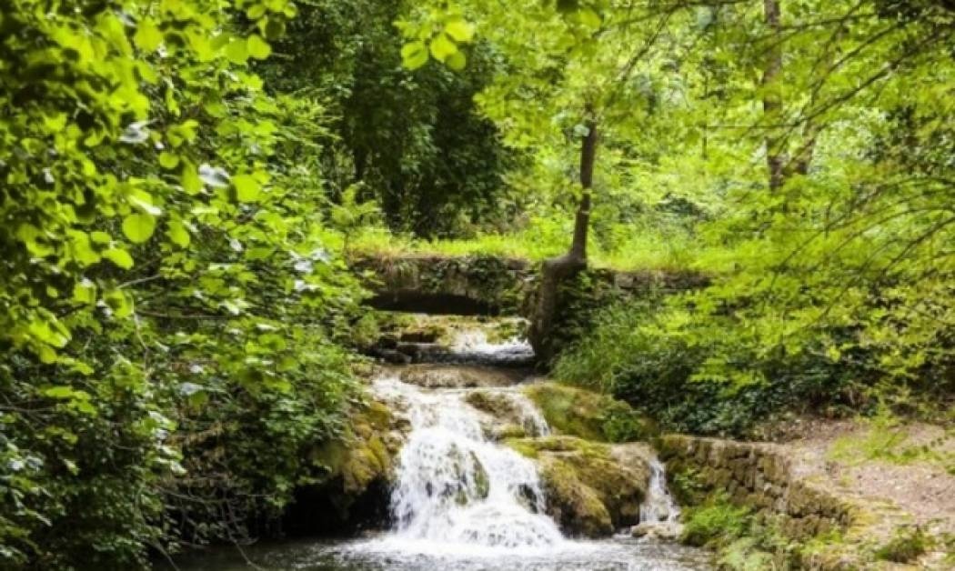 Το χαλαρωτικό βίντεο που θα σας σώσει από την αϋπνία!